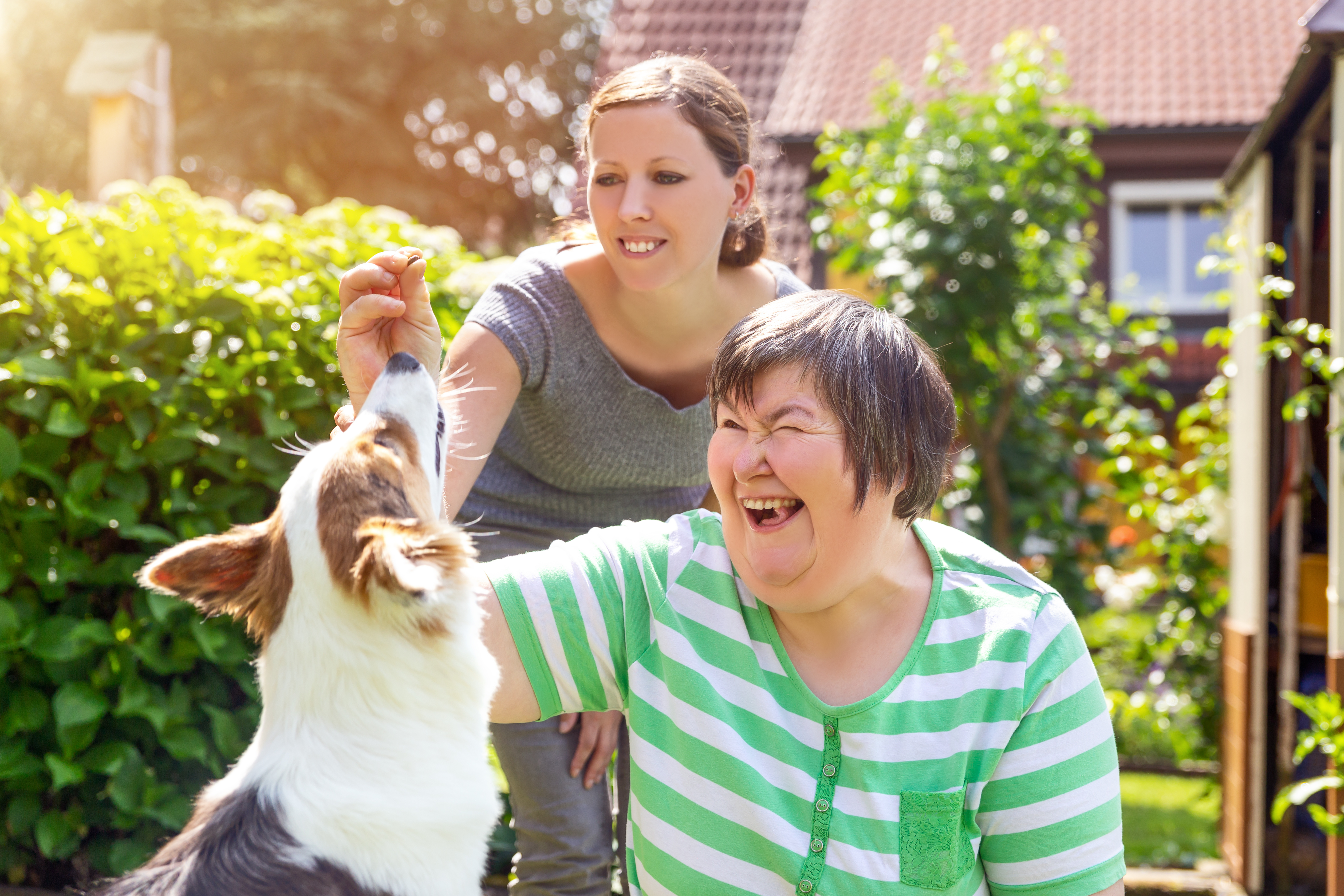 Alternativetherapie mit einem Hund, geistig behinderte Frau und